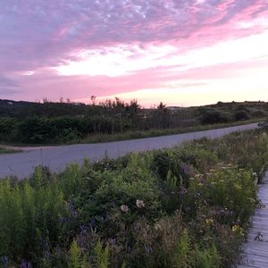 Meet your Posher, Rachelle